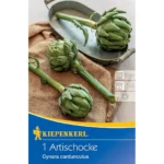 Artischocke Cynara cardunculus