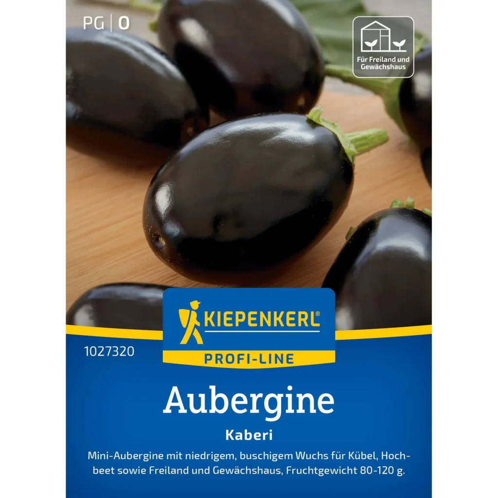 Kiepenkerl Aubergine Kaberi F1, hochwertiger Hybrid mit violetten Früchten, ideal für Garten und Balkon, ertragreich und geschmacksvoll.