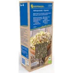 BIO Keimsprossen Pikante Mischung