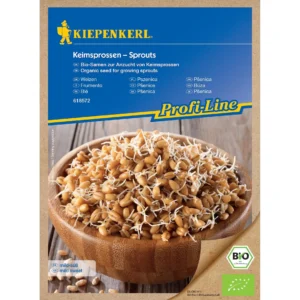 BIO Keimsprossen-Saat Weizensamen