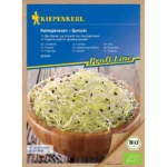 BIO Keimsprossen-Saat Zwiebelsamen
