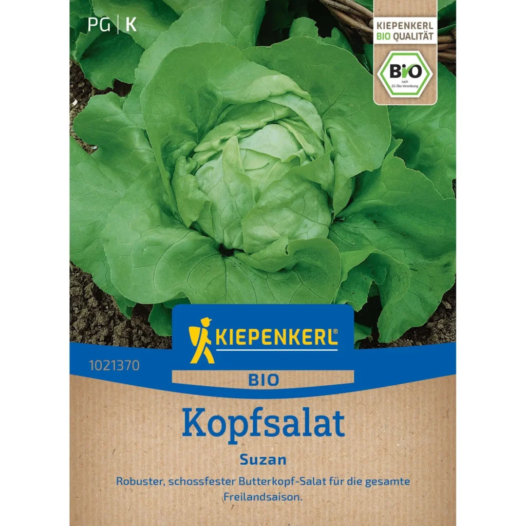 Kiepenkerl-BIO-Kopfsalat Suzan, knackig und gesund, ideal für den eigenen Garten oder Balkon, reich an Vitaminen und Mineralstoffen.