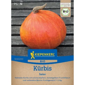 Kürbissamen Solor