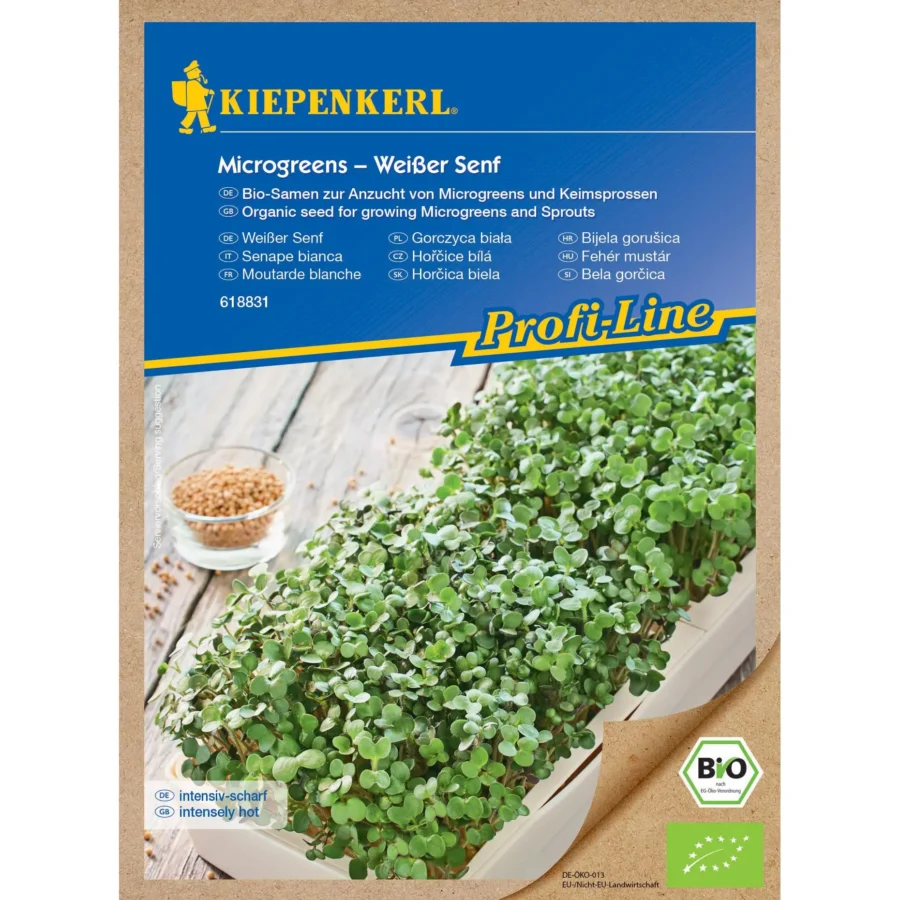 BIO-Mikrogreens-Samen Weißer Senf von Kiepenkerl, ideale Wahl für gesunde Sprossen zu Hause, einfach anzubauen und voller Nährstoffe.