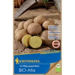 BIO Pflanzkartoffel Afra, 10 Stück