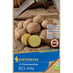 BIO Pflanzkartoffel Afra, 10 Stück