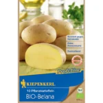 BIO-Pflanzkartoffel Belana, 10 Stück