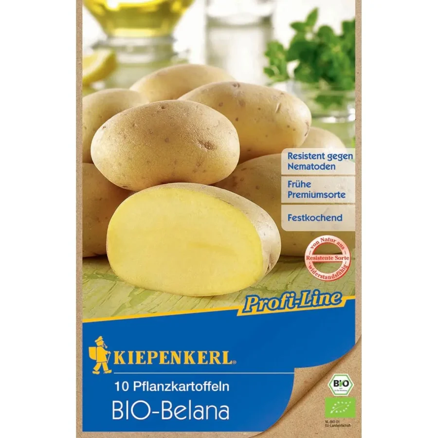 Kiepenkerl BIO-Pflanzkartoffel Belana, 10 Stück, ideal für ertragreiche Ernten und schmackhafte Gerichte, resistent gegen Krankheiten.