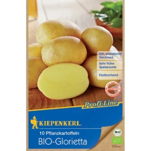 BIO-Pflanzkartoffel Glorietta, 10 Stück