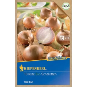 BIO Schalotte Red Sun