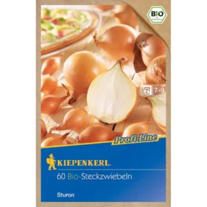 BIO Steckzwiebel Sturon