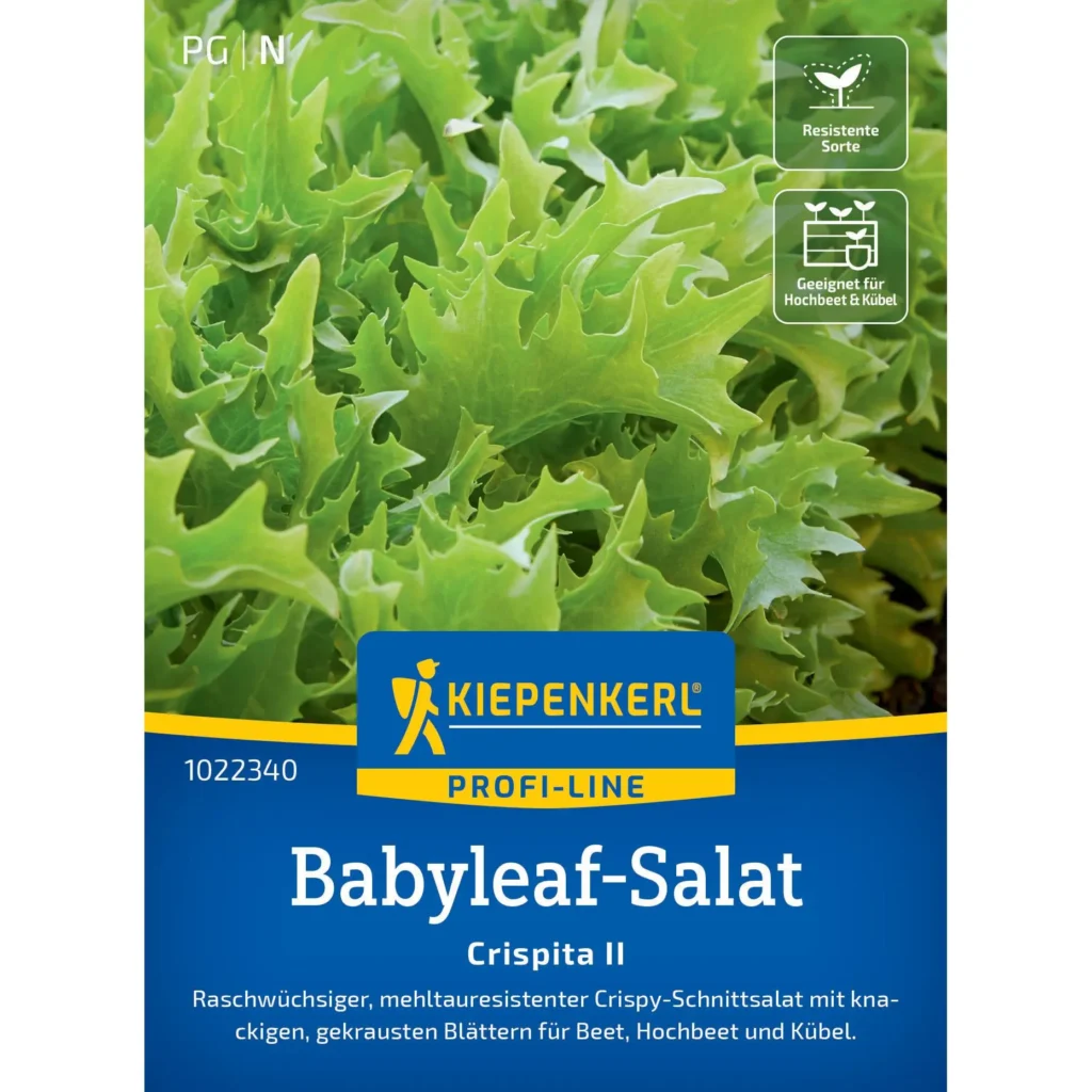 Kiepenkerl Babyleaf-Salat Crispita II, grüne, knackige Blätter, ideal für gesunde Salate, schnell wachsend, 150 Samen.
