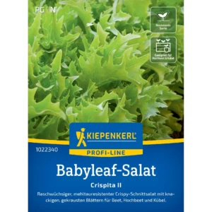 Babyleaf-Salatsamen Crispita II