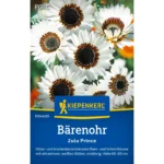 Bärenohrsamen Zulu Prince