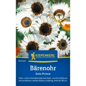 Bärenohrsamen Zulu Prince