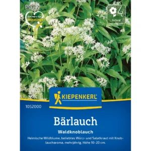 Bärlauch Samen (Allium ursinum)