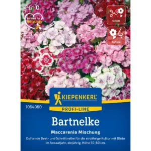 Bartnelkensamen Maccarenia Mischung