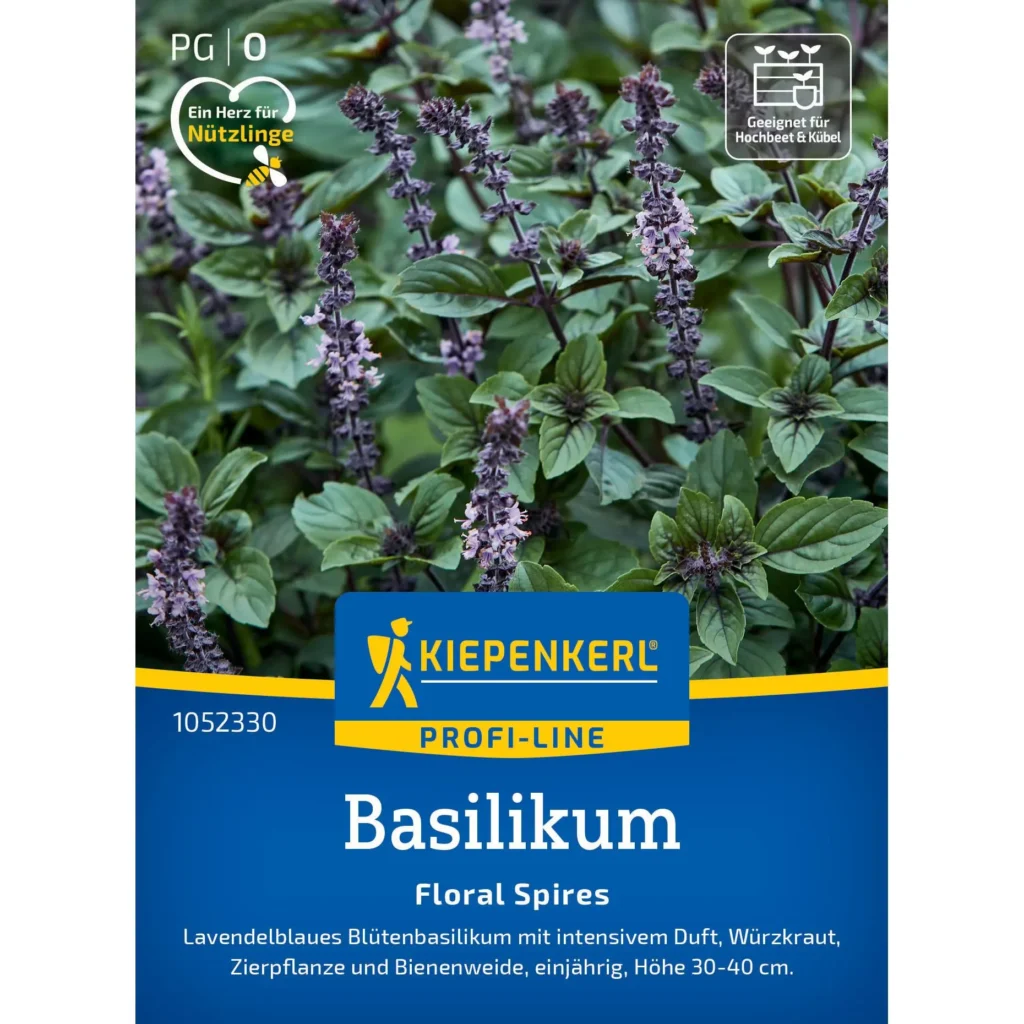Kiepenkerl-Basilikum Floral Spires Lavendelblau, wunderschönes Kräutertee für aromatische Küche, robust und ertragreich, ideal für Balkon und Garten.