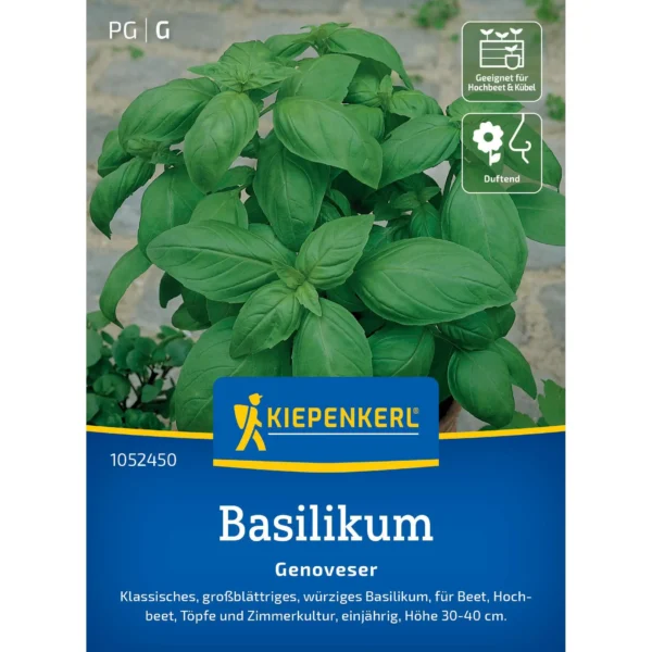 Kiepenkerl-Basilikum-Genoveser, aromatisches Küchenkraut, ideal für mediterrane Gerichte, kräftige grüne Blätter, 1 Portion.