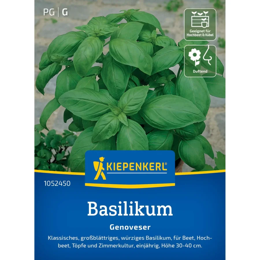 Kiepenkerl-Basilikum-Genoveser, aromatisches Küchenkraut, ideal für mediterrane Gerichte, kräftige grüne Blätter, 1 Portion.