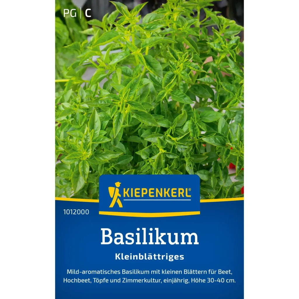 Kiepenkerl Basilikum kleinblättrig, aromatisch und robust, ideal für Balkon oder Küche, bereichert Ihre Gerichte mit frischem Geschmack.