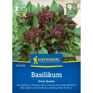 Basilikumsamen Siam Queen