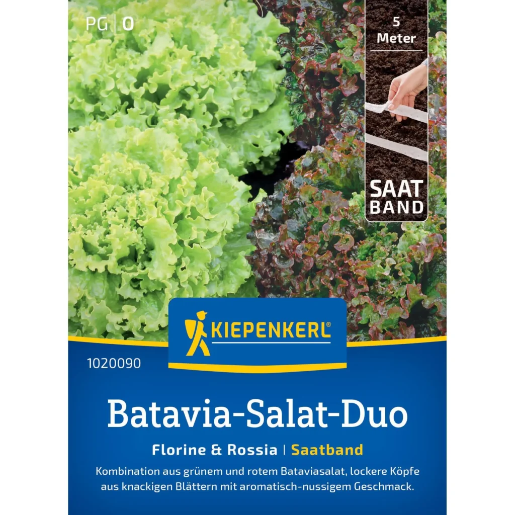 Kiepenkerl Batavia-Salat Duo, Saatband mit hochwertigem Saatgut, ideal für frischen, knackigen Salat im eigenen Garten.