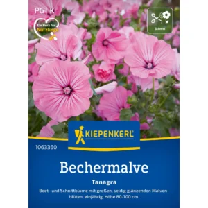 Bechermalvensamen Tanagra