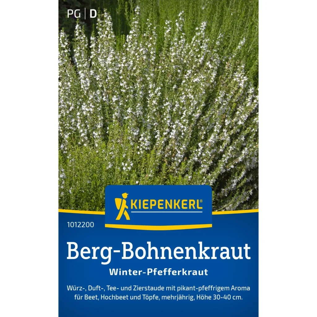 Kiepenkerl Berg-Bohnenkraut, aromatisches Winter-Pfefferkraut, ideal für kreative Küche und Gewürzgärten, robust und pflegeleicht.