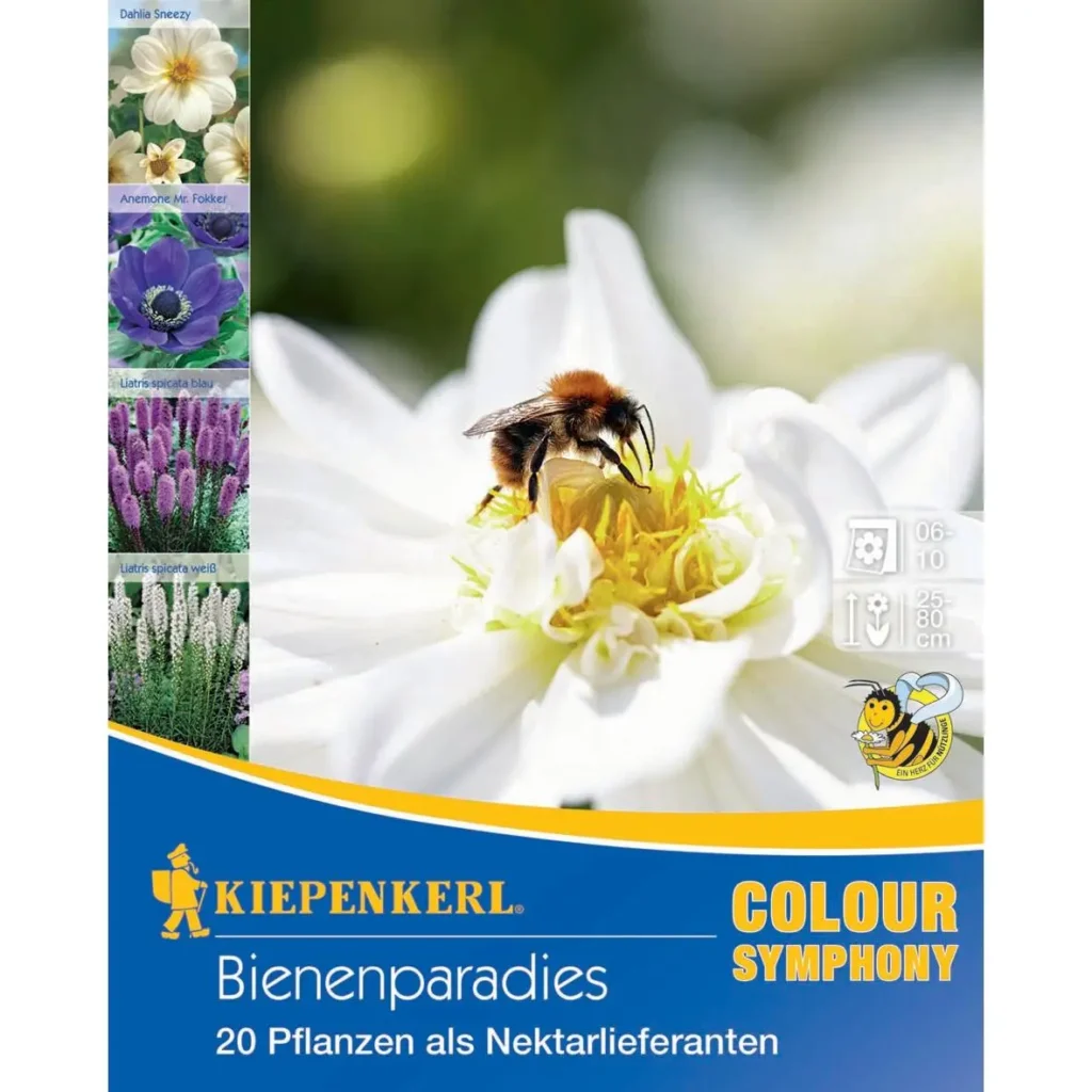 Kiepenkerl Bienenparadies mit bienenfreundlichen Blumen, ideal zur Unterstützung der Artenvielfalt, 100% biologisch.
