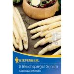 Bleichspargel Gijnlim Asparagus officinalis