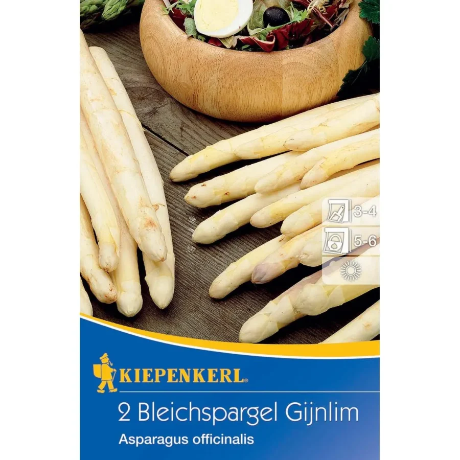 Kiepenkerl Bleichspargel Gijnlim, hochwertiger Bio-Spargel, ideal für den eigenen Garten, reich an Aromen und Vitaminen.