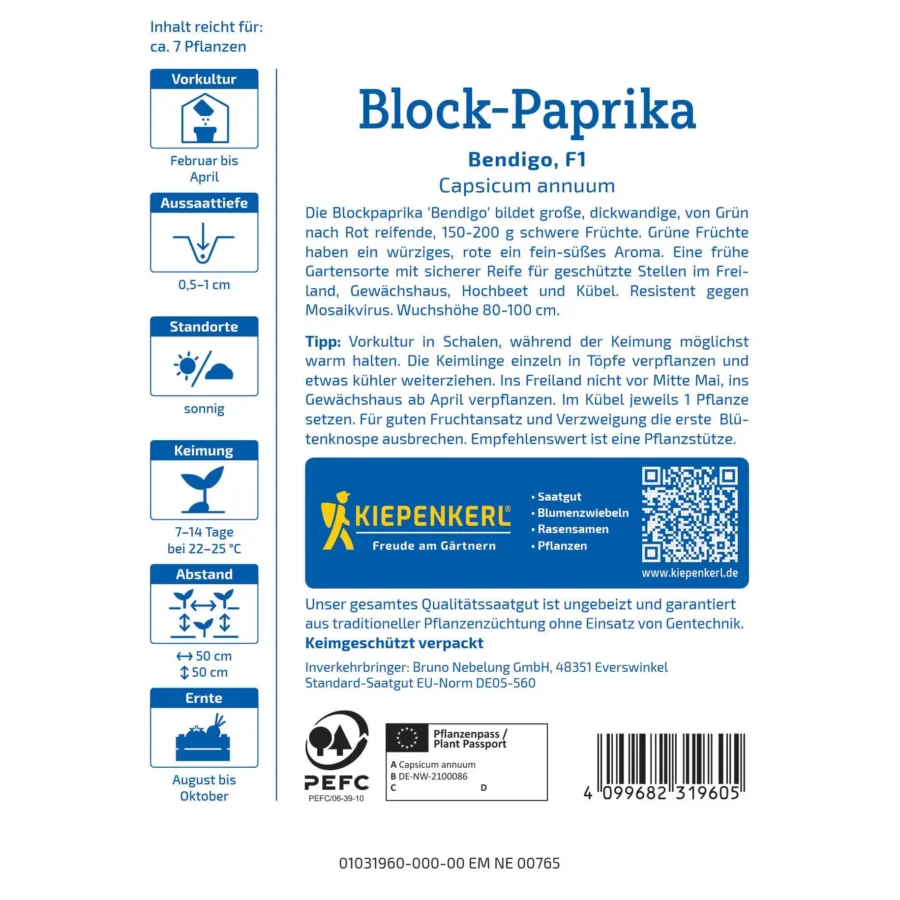 Kiepenkerl Block-Paprika Bendigo F1, robuste, ertragreiche Pflanze mit süßen roten Früchten, ideal für den Garten oder Balkon.