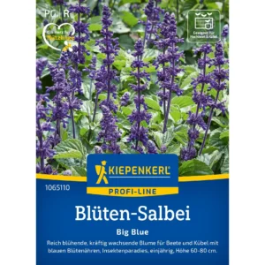 Blüten-Salbeisamen Big Blue
