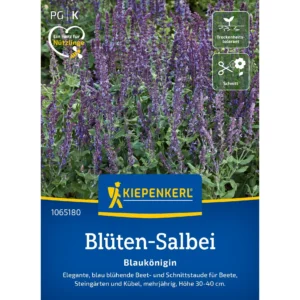 Blüten-Salbeisamen Blaukönigin