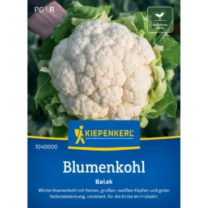 Blumenkohlsamen Balak