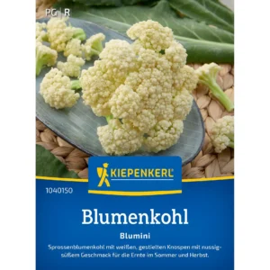 Blumenkohlsamen Blumini