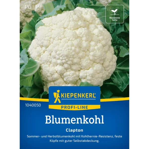 Kiepenkerl-Blumenkohl Clapton F1, schmackhafte und robuste Sorte, ideal für gesundes Gärtnern, perfekte Ernte in jedem Garten.