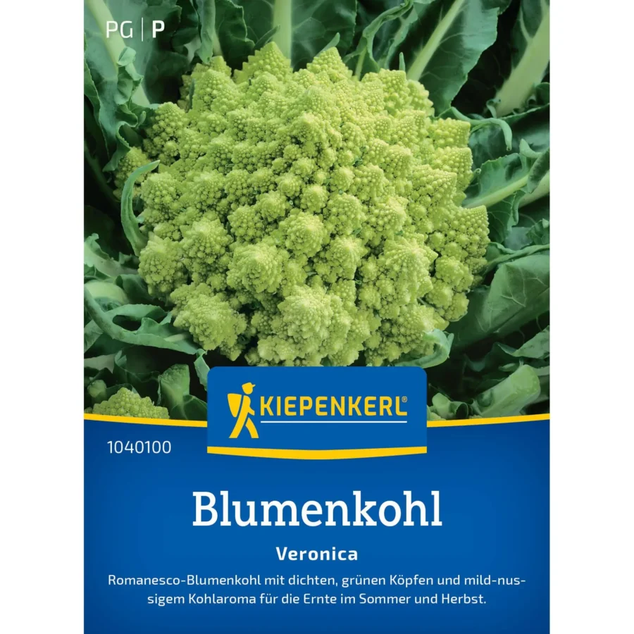Kiepenkerl Blumenkohlsamen Veronica, samenfest, robust und frosthart, ideal für gesundes Gemüsewachstum im Garten oder Hochbeet.