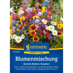 Blumensamen-Mischung Baristo Balkon-Stauden