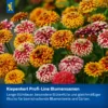 Kiepenkerl Blumenmischung Last Minute 5 für ein buntes Blumenmeer, 1 kg, ideal für schnelle und pflegeleichte Gartengestaltung.