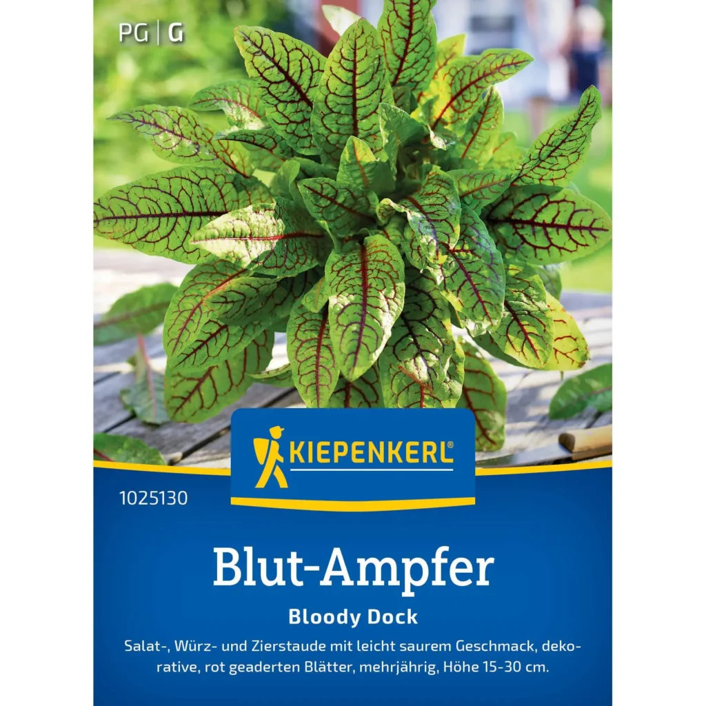 Kiepenkerl Blut-Ampfersamen Bloody Dock, effektiv für nährstoffreiche Böden, ideal zur Förderung von Gartenpflanzen.