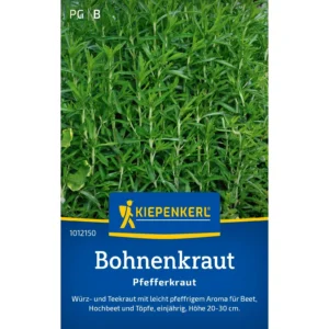 Bohnenkrautsamen Pfefferkraut