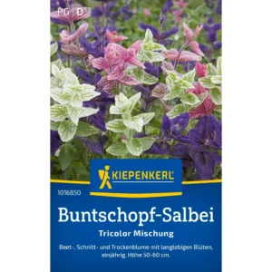 Buntschopf-Salbeisamen Tricolor Mischung