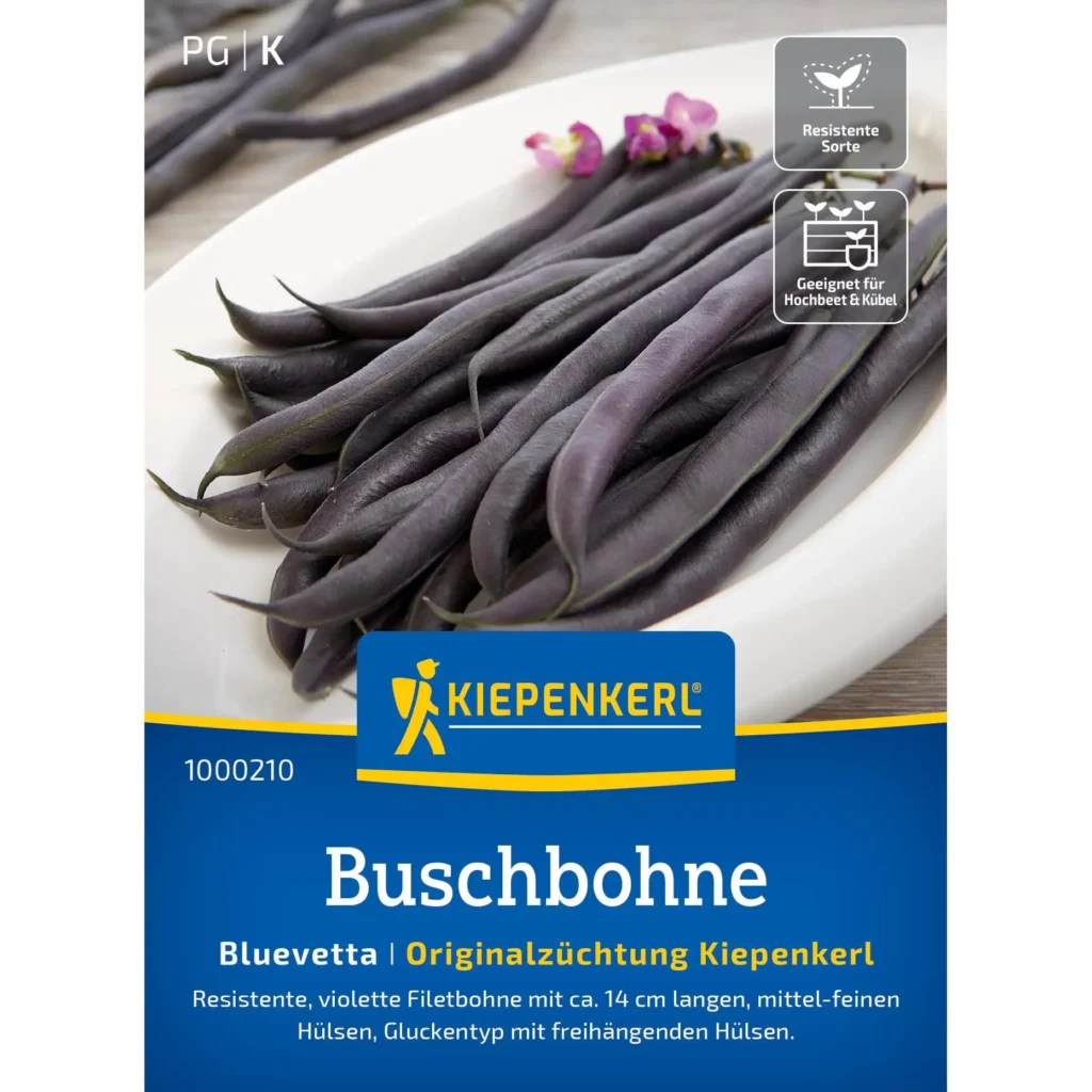 Kiepenkerl Buschbohne Bluevetta, eiweißreiche und ertragreiche Sorte, ideal für sonnige Gärten und Balkonpflanzen, 50 Samen.
