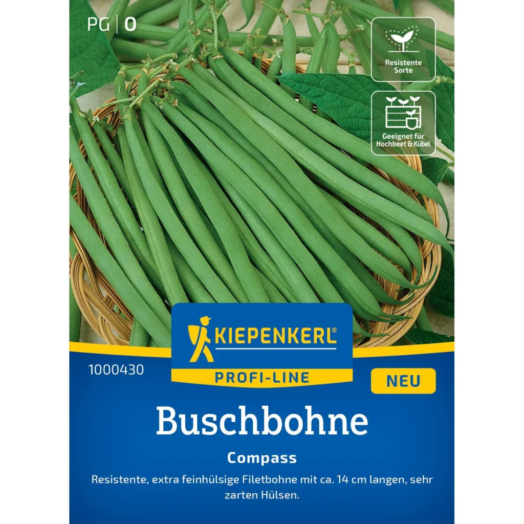 Kiepenkerl Buschbohne Compass, hochwertige samenfeste Sorte, robust und ertragreich, ideal für Garten und Balkonkultur.