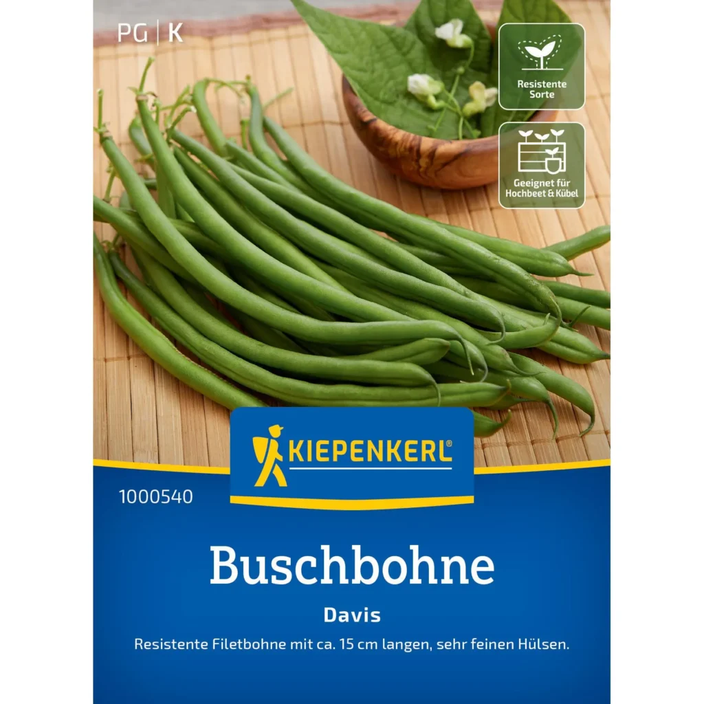 Kiepenkerl-Buschbohne Davis, nährstoffreich und pflegeleicht, ideal für Hobbygärtner, sorgt für reiche Ernte in jedem Garten.