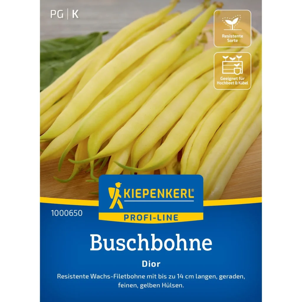 Kiepenkerl Buschbohne Dior, nährstoffreiche Sorte für hohe Erträge, ideal für Hausgärtner, grüne, zarte Bohnen, pflegeleicht und robust.