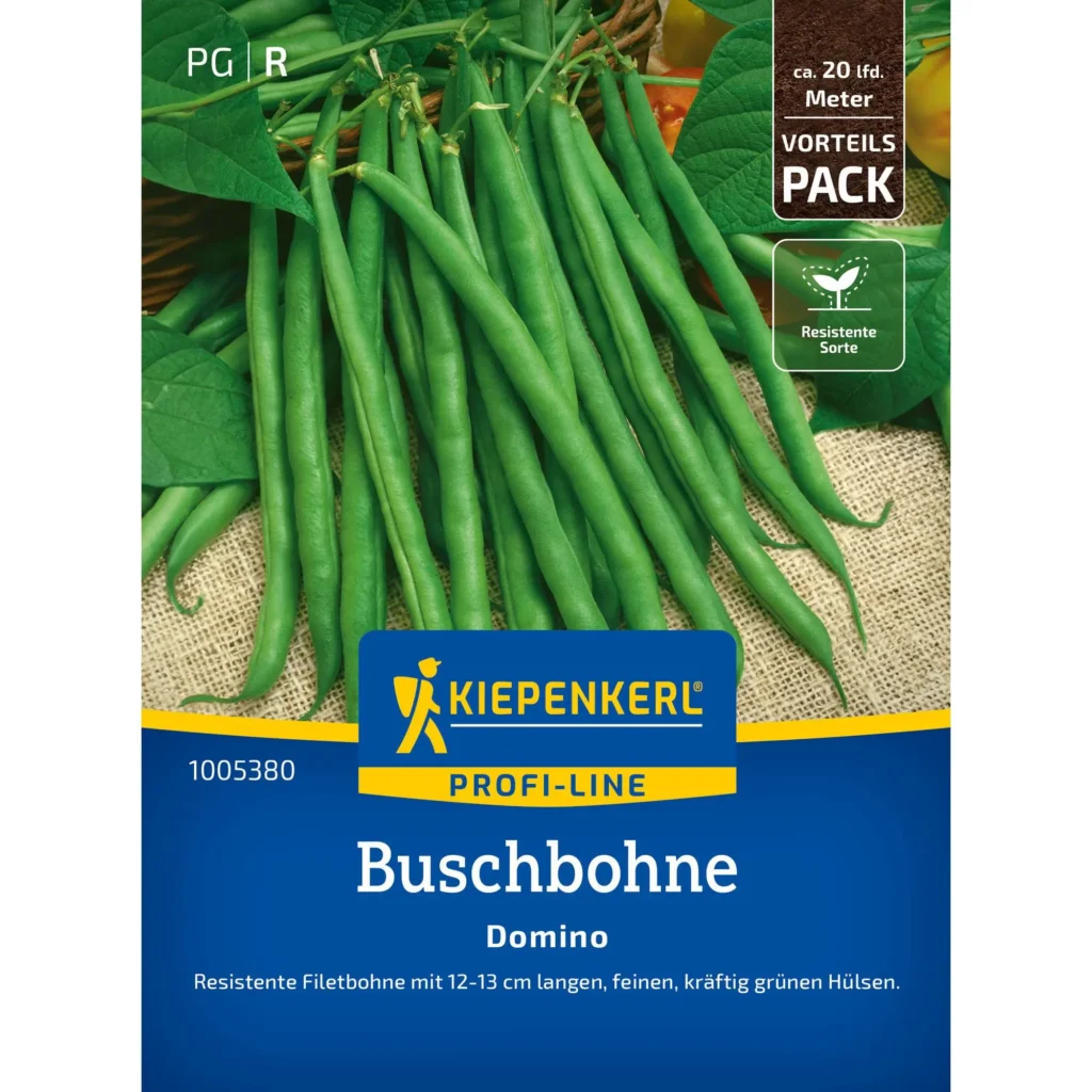 Kiepenkerl Buschbohne Domino Vorteilspackung, hochwertige Samen für ertragreiche Ernte, ideal für Hobbygärten und Balkonpflanzen.
