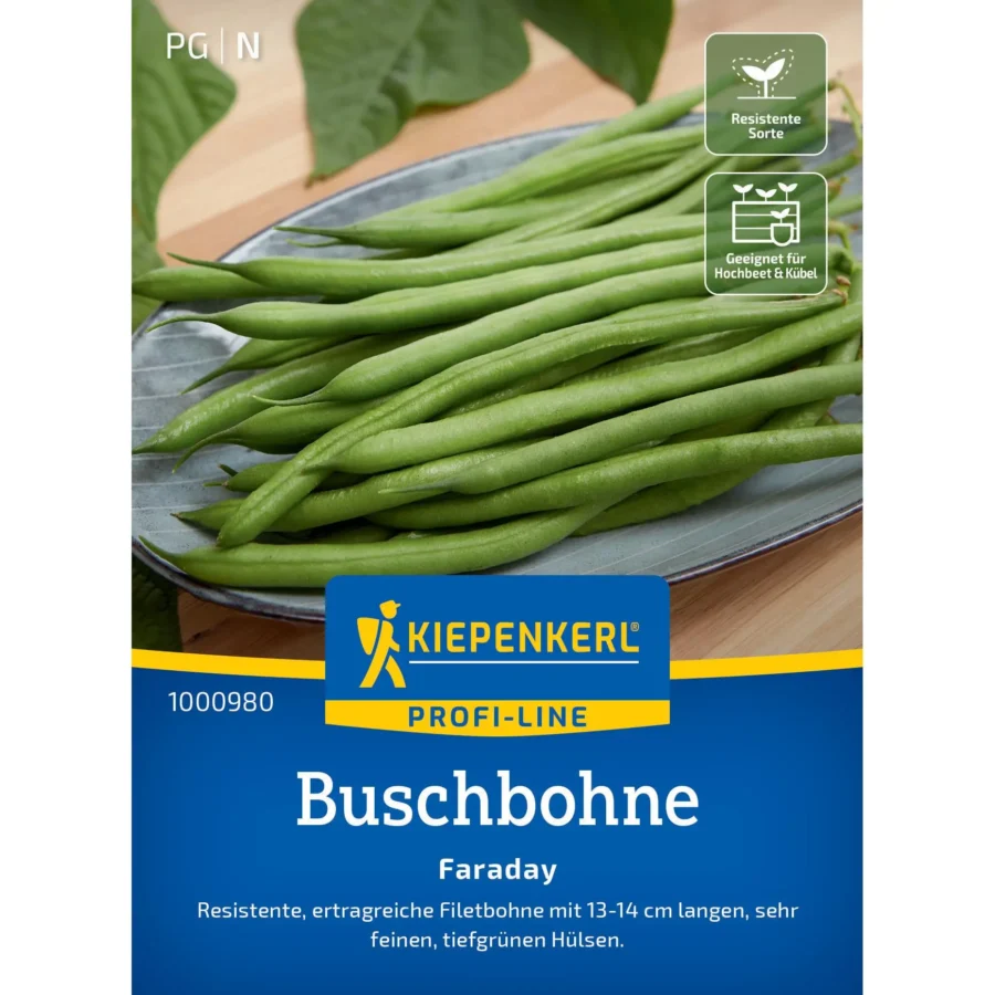 Kiepenkerl Buschbohne Faraday, ertragreiche, grüne Pflanzen für einfachen Anbau im Garten, ideal für frische Ernte.